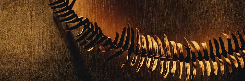 AnneHenrika's profile banner image