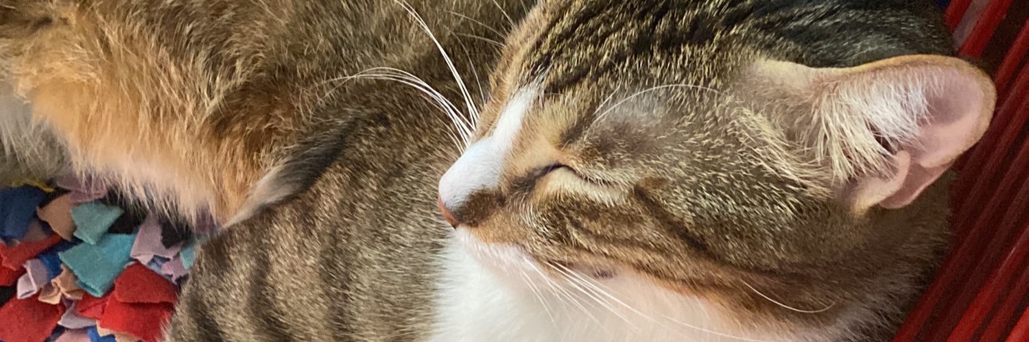 lacarolindaa's profile banner image