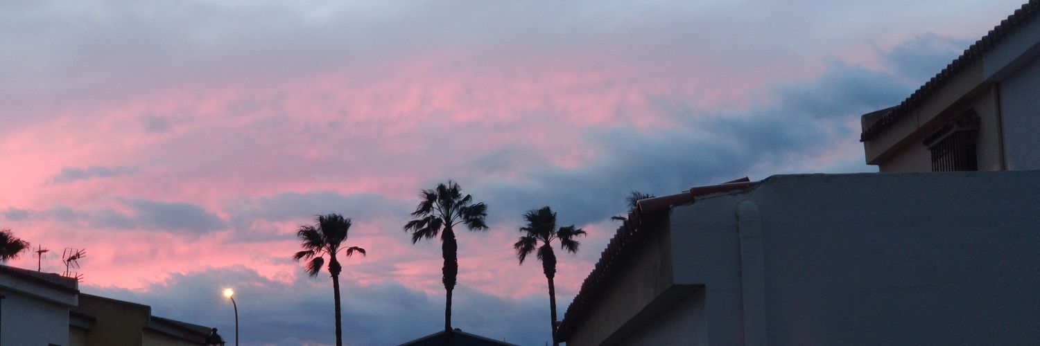 anaclvc's profile banner image