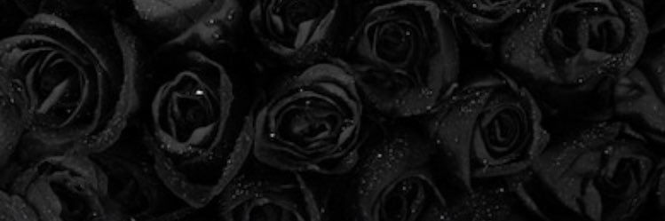 PinkVanessa12's profile banner image