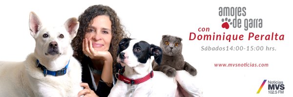 AmoresGarra Profile Banner