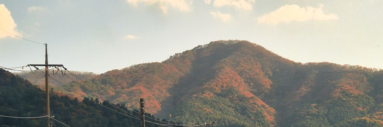 sunflowerintak's profile banner image