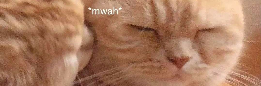 softdumbpup's profile banner image