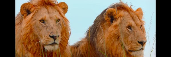 Factor_49 Profile Banner