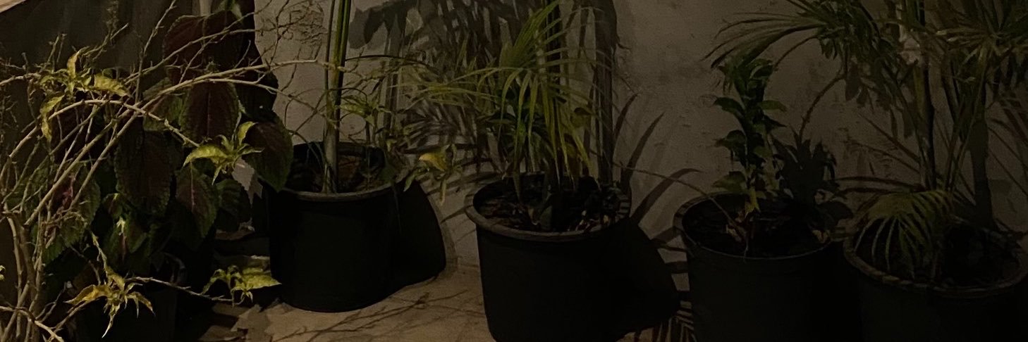 sus__mm's profile banner image