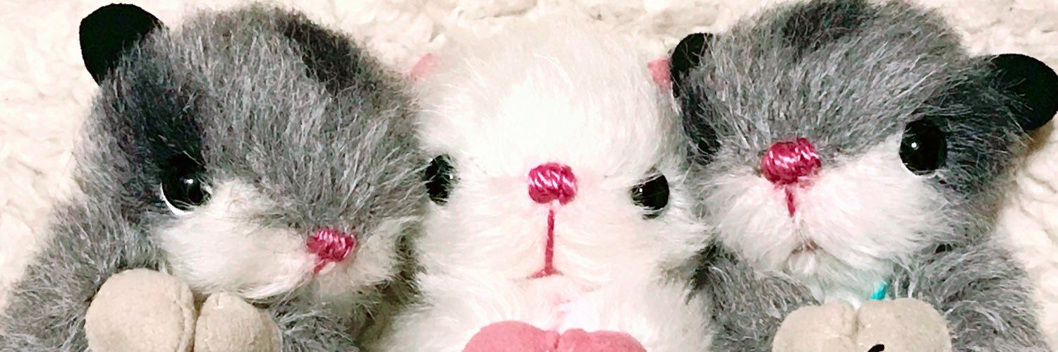 craftoreo's profile banner image