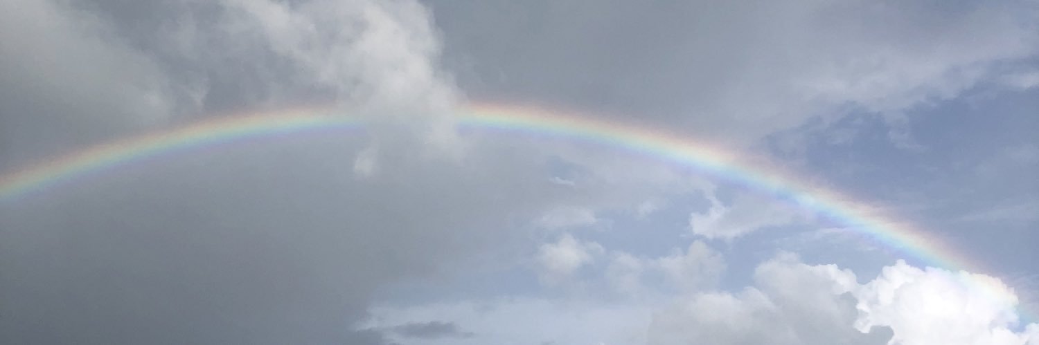 weirdbr1's profile banner image