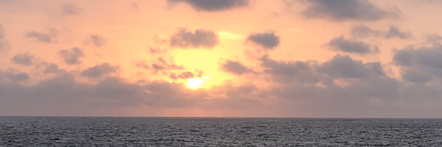 The_Cmogs's profile banner image