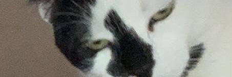oquehouve94's profile banner image