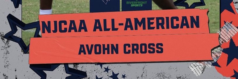 Avohn Cross banner