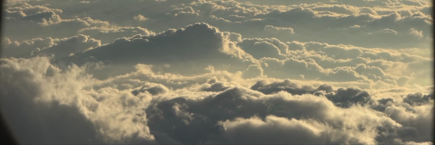 paayoo24's profile banner image