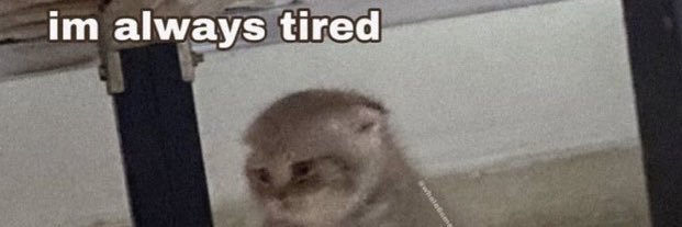 Um tal de Xevinho ʕ￫ᴥ￩ ʔ banner