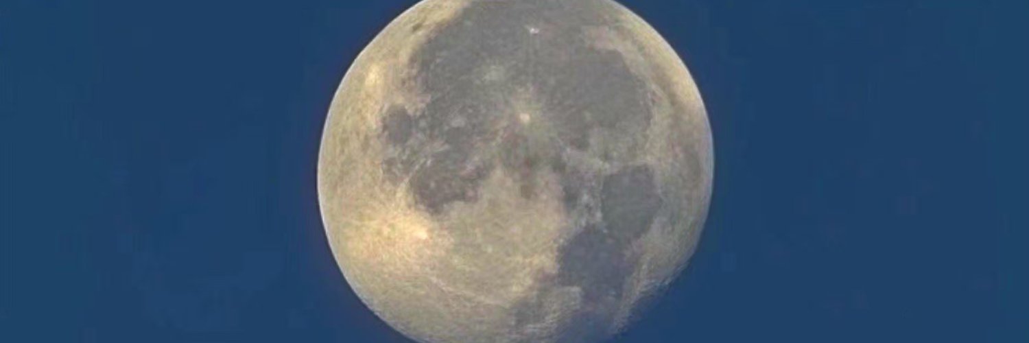 nywnorb__'s profile banner image