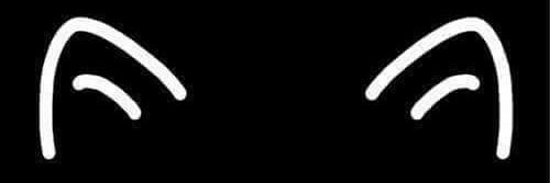 ver😍 banner