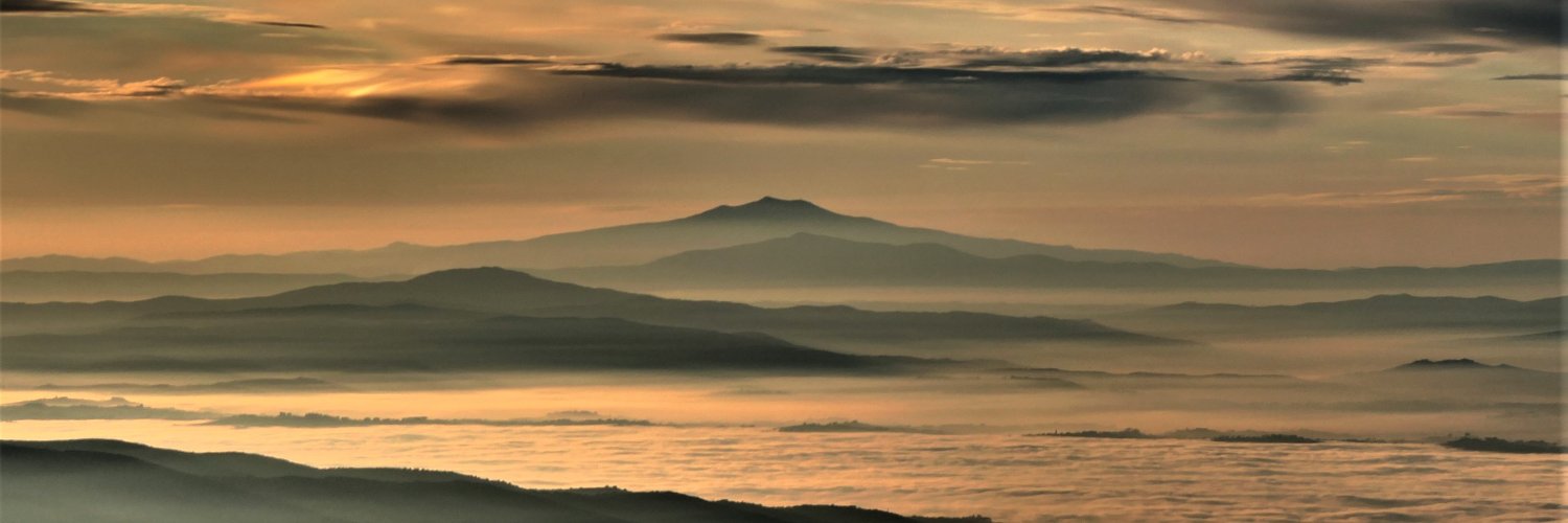 Paride Antinucci banner