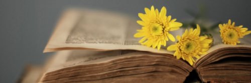 a9f_r's profile banner image
