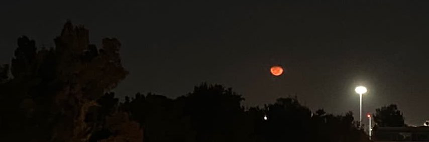 melaniekeever's profile banner image