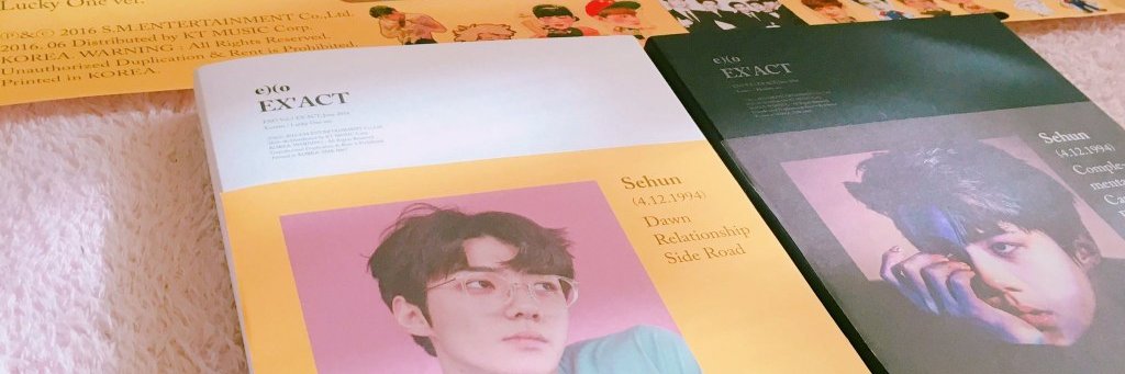 sehunchis's profile banner image