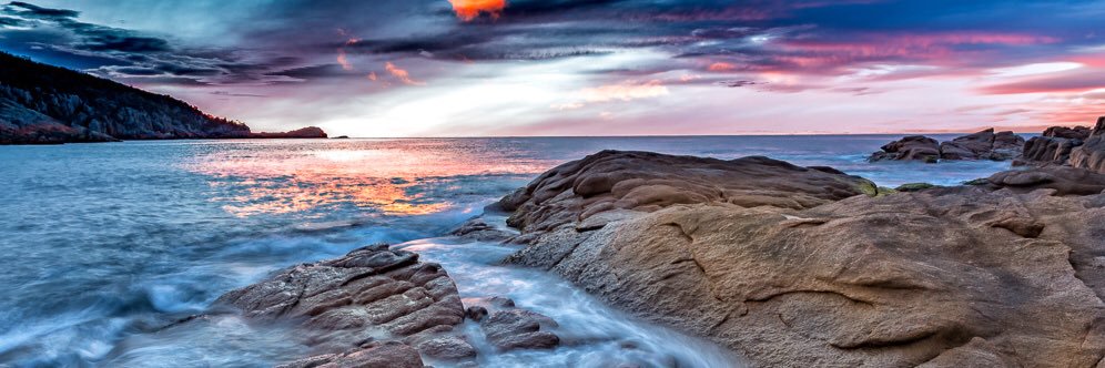 PurpleMermaidB1's profile banner image