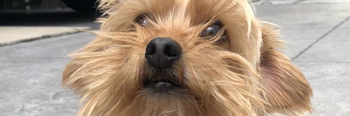 fer_sc09's profile banner image