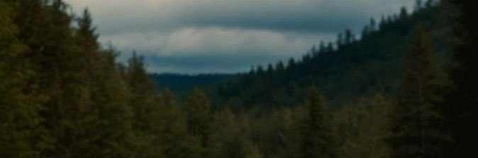 mountofgold's profile banner image