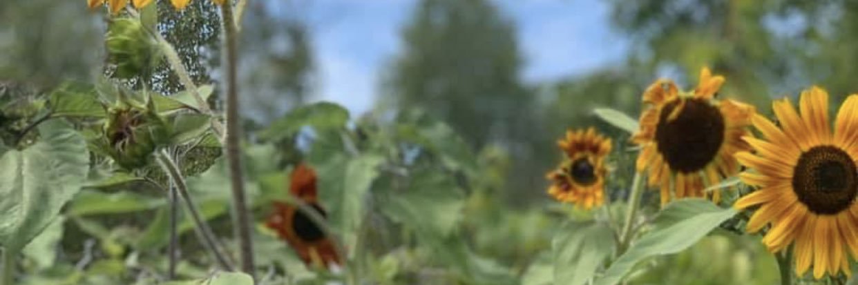jayfineass_'s profile banner image