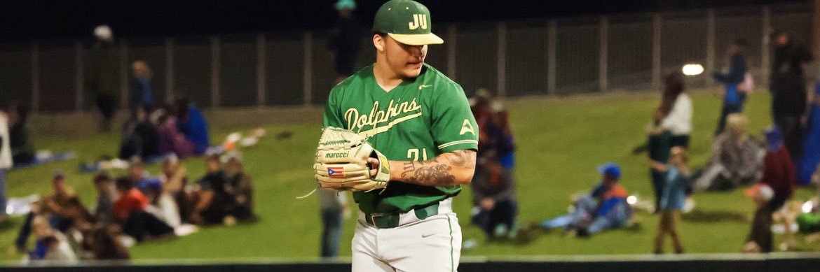 Divine S. Valle banner