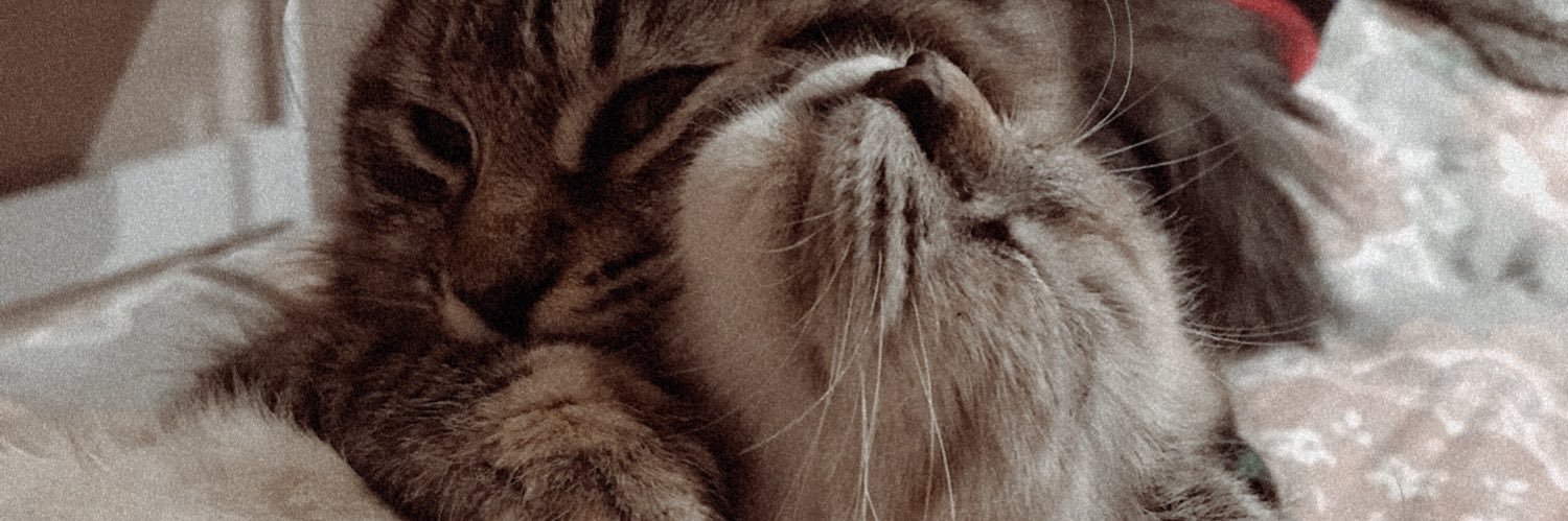 aleenmiel's profile banner image