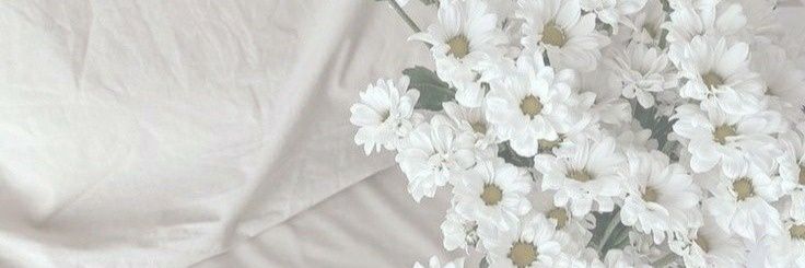• Eva banner