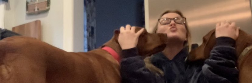 phoebeeegrace's profile banner image