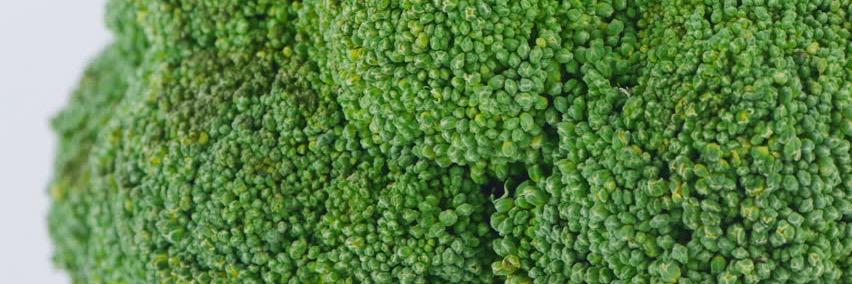 VeggieToronto's profile banner image