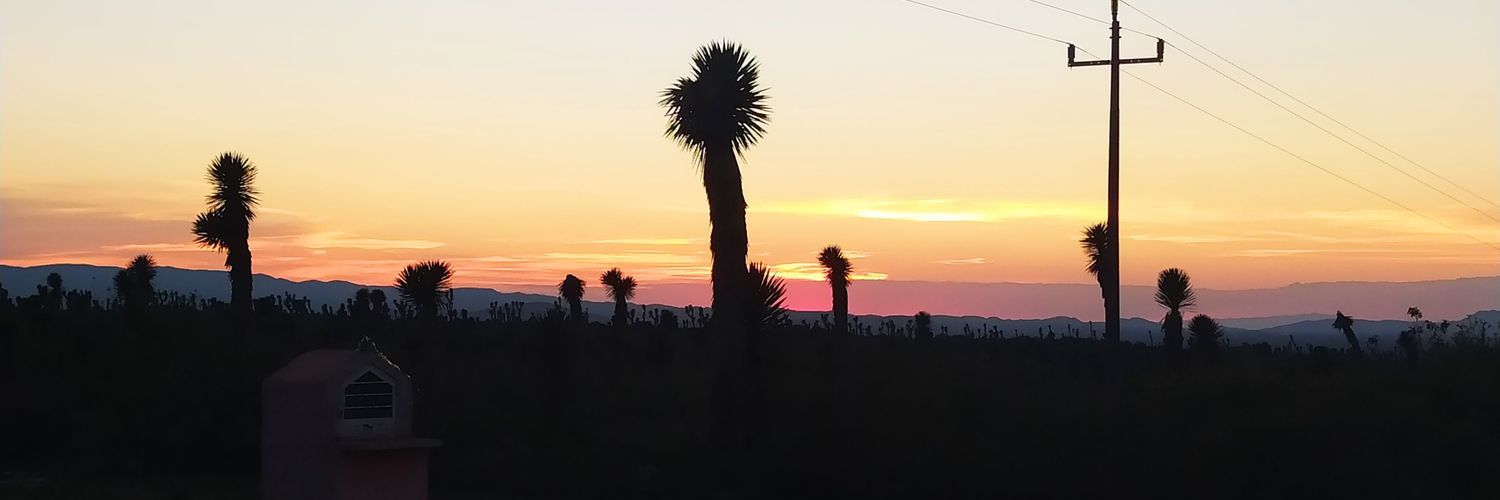 benhazbm's profile banner image