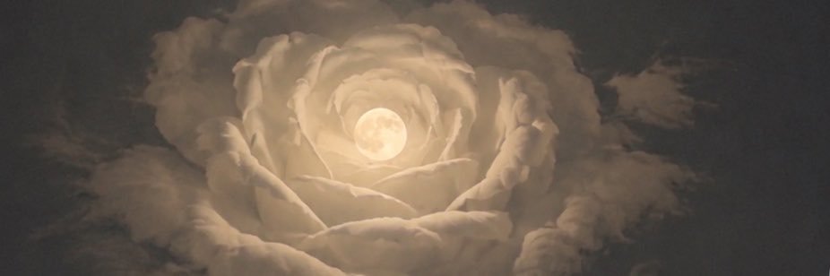ragdhdawaji's profile banner image