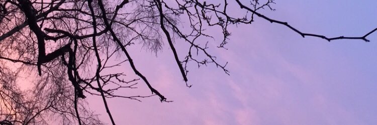 Casse_G's profile banner image