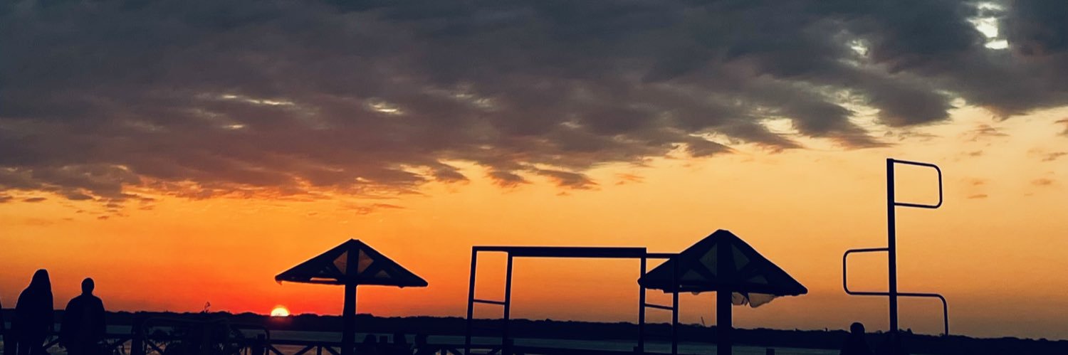 EncinaDanna's profile banner image