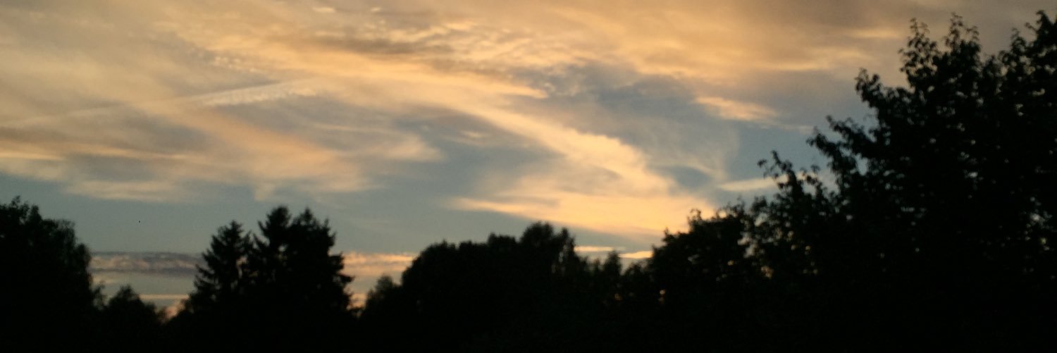 linaakesson's profile banner image