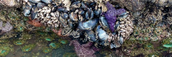 btwixt Profile Banner