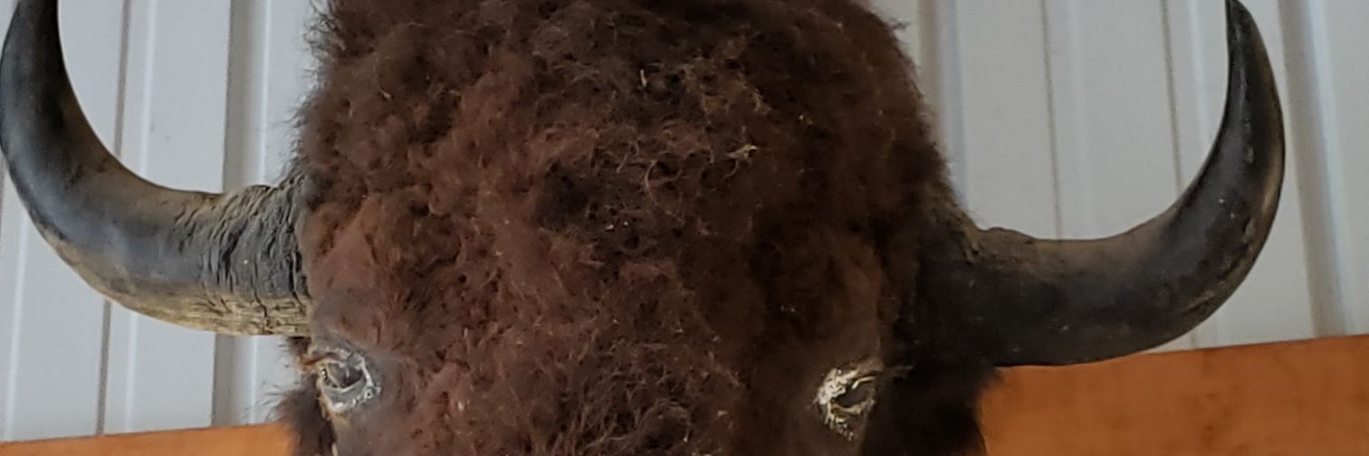 DeeverMatt's profile banner image