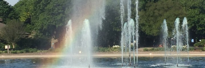 Maria_Pilsen's profile banner image