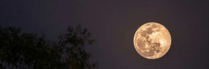ignaa_x's profile banner image