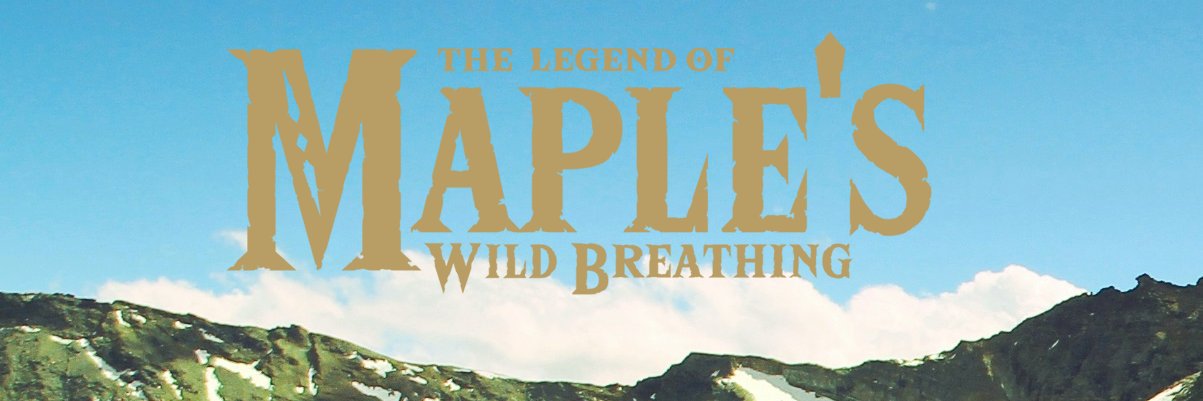 SafeForSyrup's profile banner image