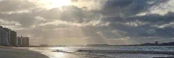 MikeFeibus Profile Banner