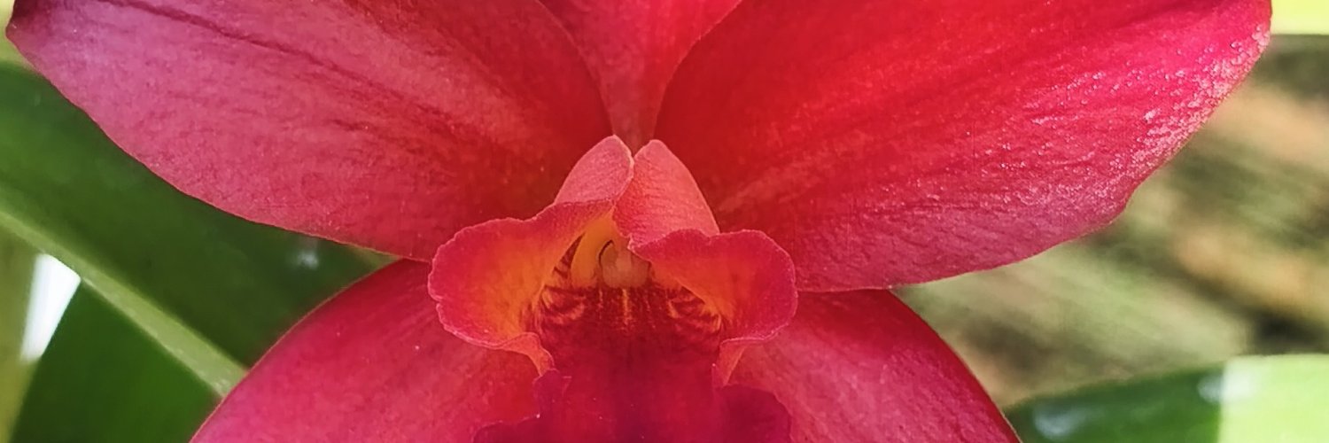 tranthai18m's profile banner image