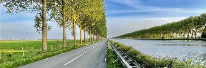 nam01hoang's profile banner image