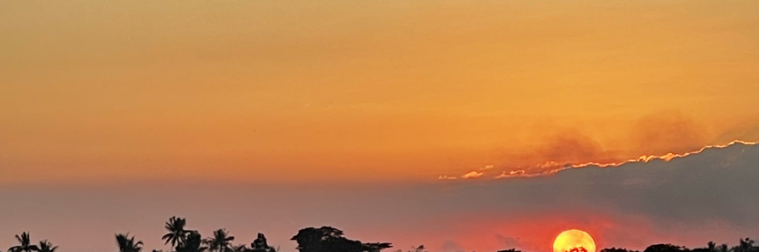 isnsnts's profile banner image