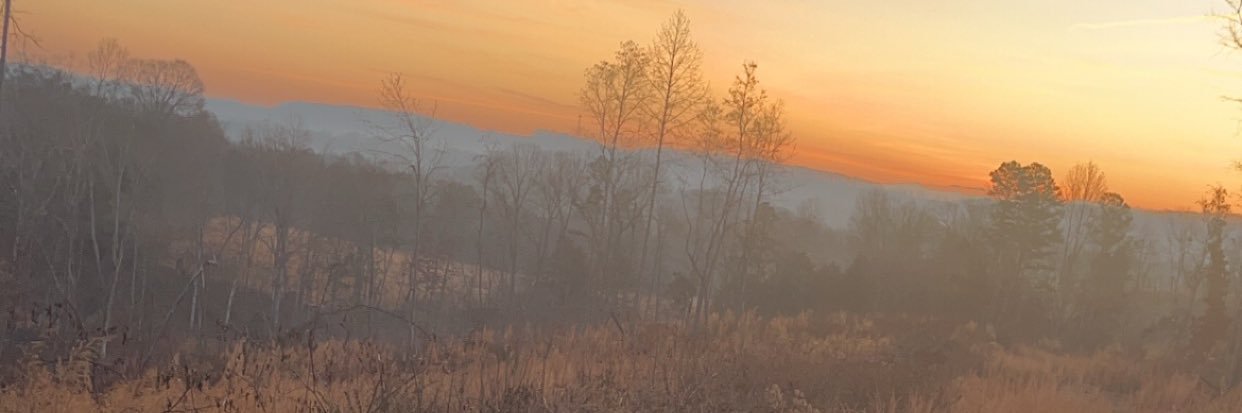 fox_bryson's profile banner image