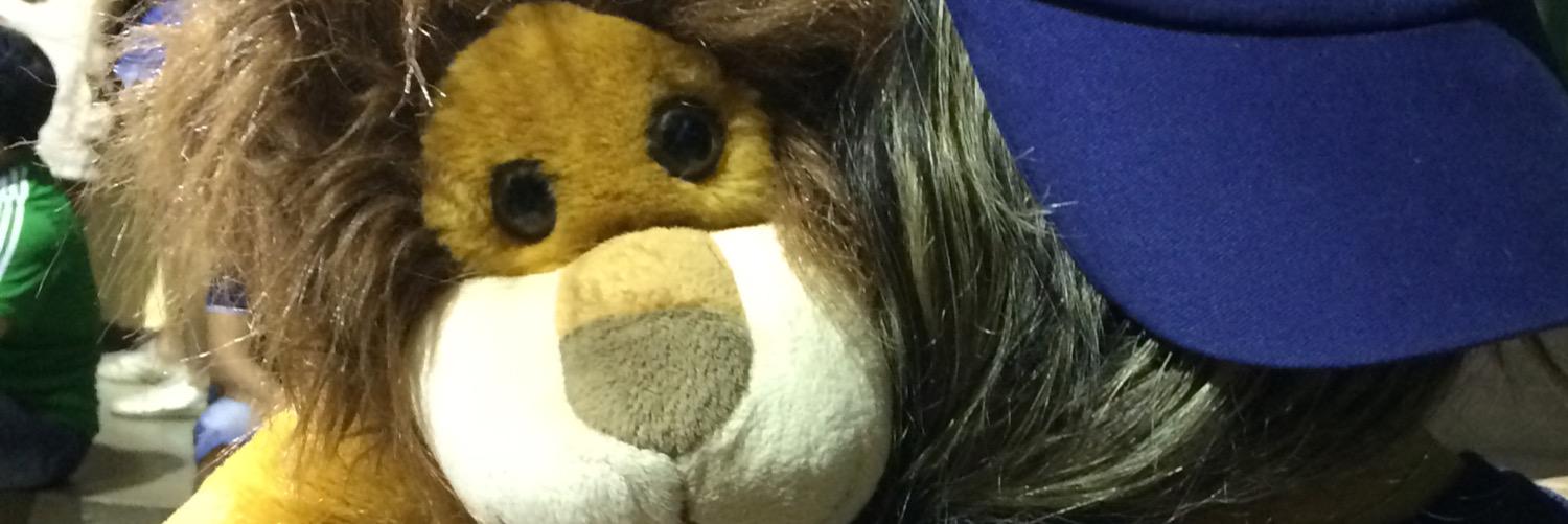 renatarochap's profile banner image