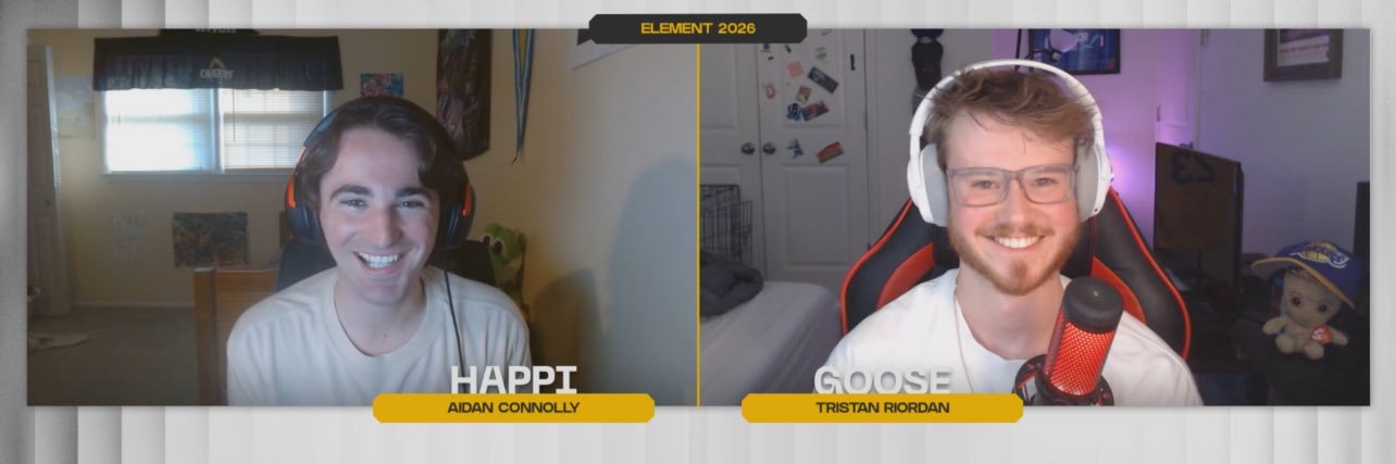 Goose 🪿 banner