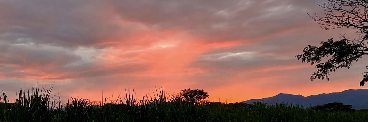 Torresmr15's profile banner image