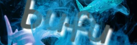 bufu_buhle04's profile banner image